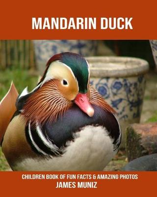 Book cover for Mandarin Duck