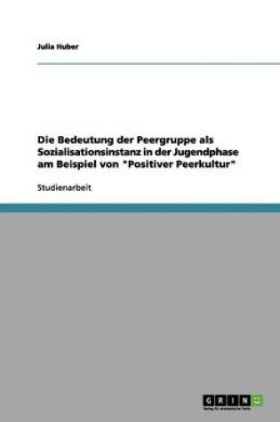 Cover of Die Bedeutung der Peergruppe als Sozialisationsinstanz in der Jugendphase am Beispiel von "Positiver Peerkultur"