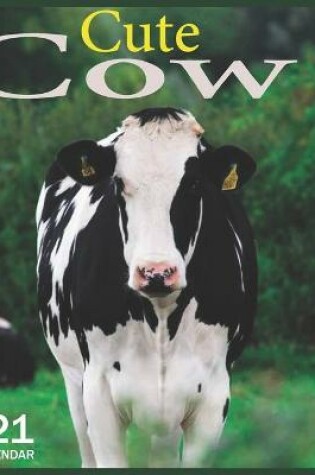 Cover of Cow Cute