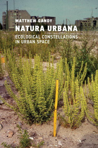 Cover of Natura Urbana