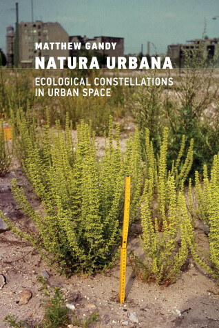 Book cover for Natura Urbana