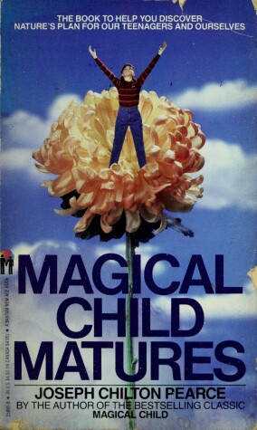 Book cover for Magical Child Mature