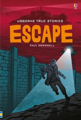 Book cover for True Stories of Escape