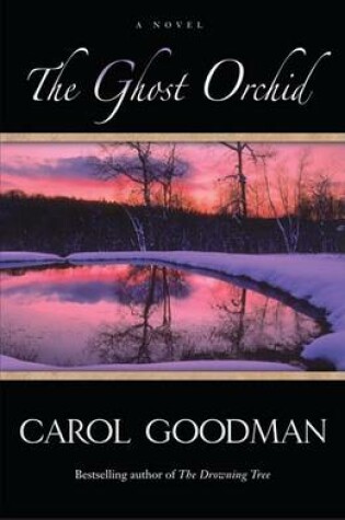 Cover of The Ghost Orchid