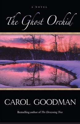 Book cover for The Ghost Orchid