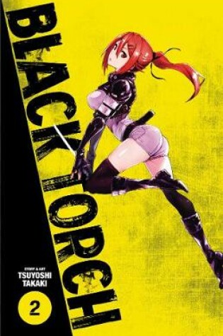 Cover of Black Torch, Vol. 2