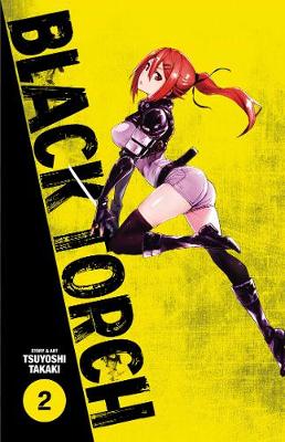 Cover of Black Torch, Vol. 2