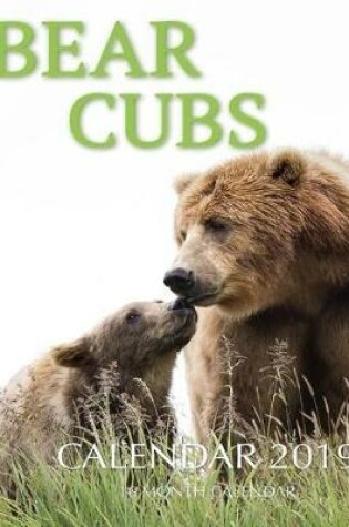 Cover of Bear Cubs Calendar 2019