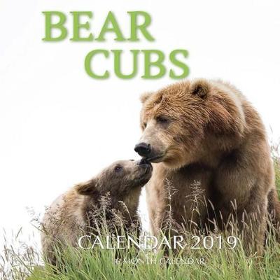 Book cover for Bear Cubs Calendar 2019