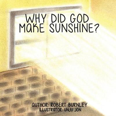 Cover of Why Did God Make Sunshine ?