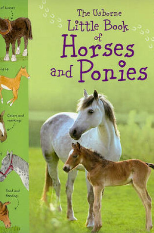 Cover of The Usborne Little Book of Horses and Ponies