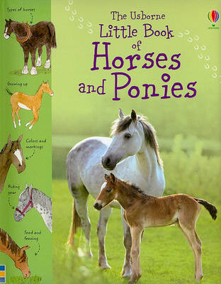 Book cover for The Usborne Little Book of Horses and Ponies