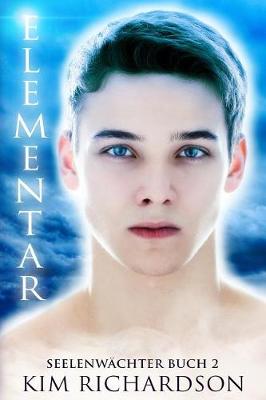 Book cover for Elementar, Seelenwachter, Buch 2