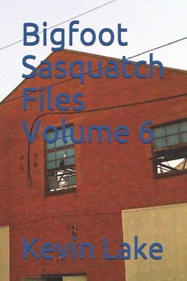 Book cover for Bigfoot Sasquatch Files Volume 6