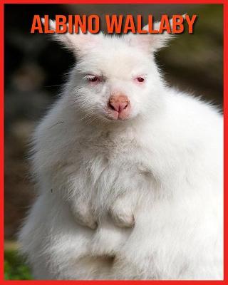 Book cover for Albino Wallaby