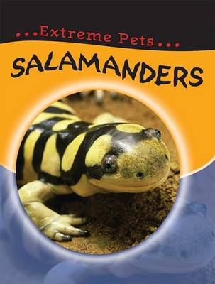 Book cover for Salamanders