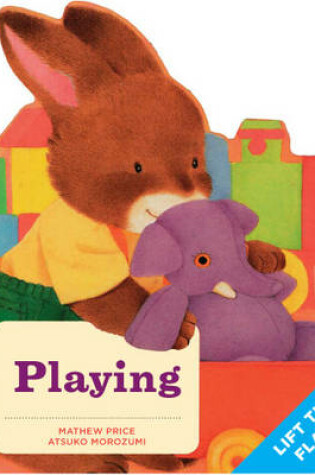 Cover of Playing
