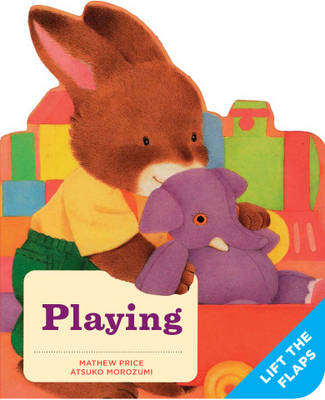 Cover of Playing