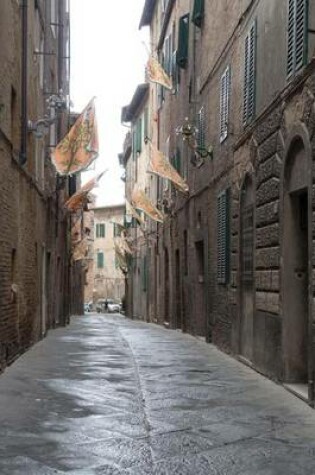 Cover of Website Password Organizer an Alley in Siena, Italy