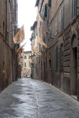 Book cover for Website Password Organizer an Alley in Siena, Italy