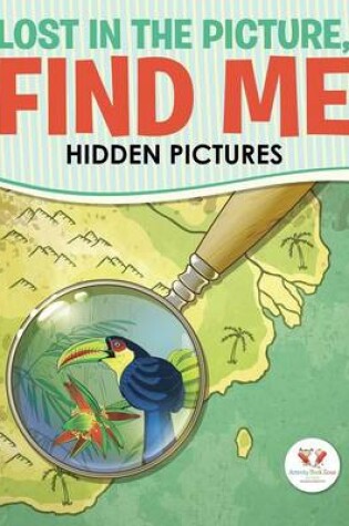 Cover of Lost in the Picture, Find Me -- Hidden Pictures