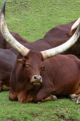 Cover of Ankole-Watusi Longhorn Cattle Africa Journal