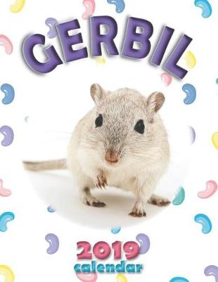 Book cover for Gerbil 2019 Calendar