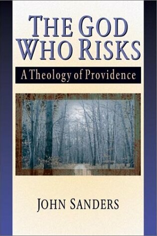 Cover of The God Who Risks