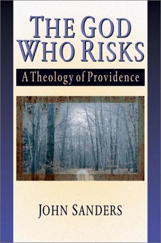 Book cover for The God Who Risks