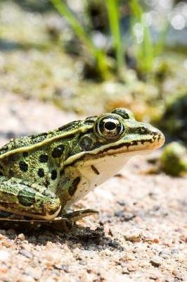 Book cover for Leopard Frog on the Beach Journal