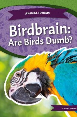 Cover of Animal Idioms: Birdbrain: Are Birds Dumb?