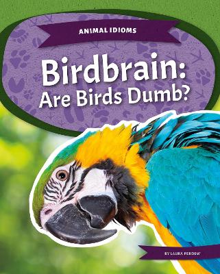 Book cover for Animal Idioms: Birdbrain: Are Birds Dumb?