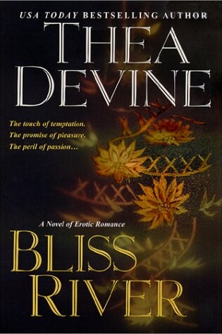 Cover of Bliss River
