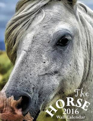 Book cover for The Horse 2016 Wall Calendar (UK Edition)