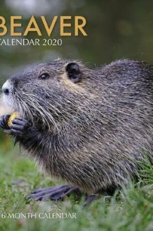 Cover of Beaver Calendar 2020