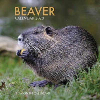 Book cover for Beaver Calendar 2020