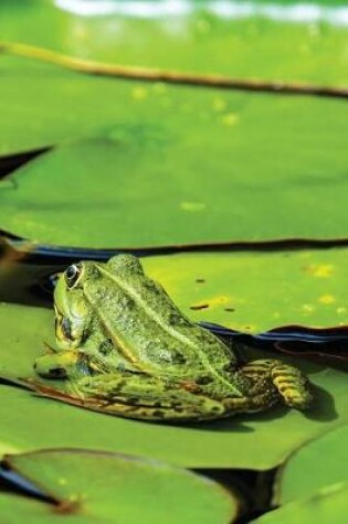 Cover of Lilypad Frog Journal