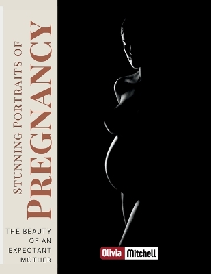 Book cover for Stunning Portraits of Pregnancy