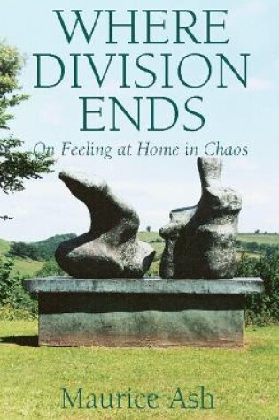 Cover of Where Division Ends