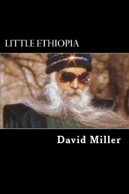 Book cover for Little Ethiopia