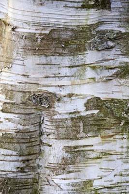 Book cover for Birch Tree Bark (for the Love of Nature)