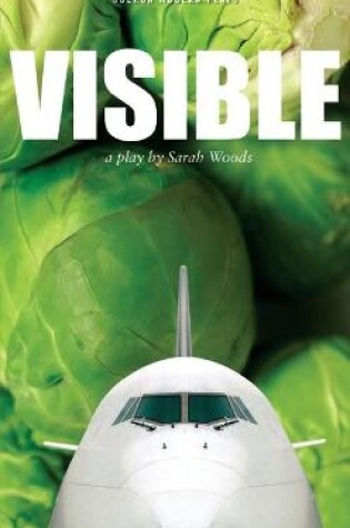 Cover of Visible