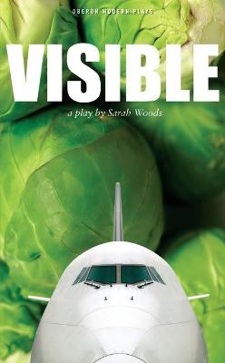 Book cover for Visible
