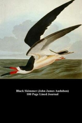 Cover of Black Skimmer (John James Audubon) 100 Page Lined Journal