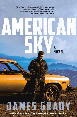 Book cover for American Sky