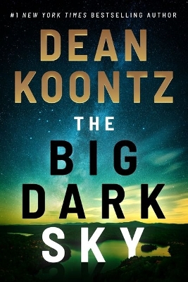 Book cover for The Big Dark Sky