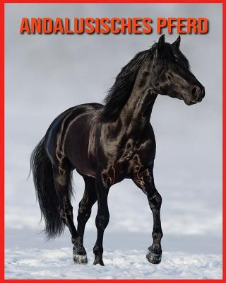 Book cover for Andalusisches Pferd