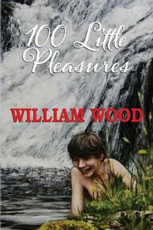 Cover of 100 Little Pleasures