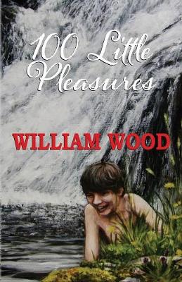 Book cover for 100 Little Pleasures