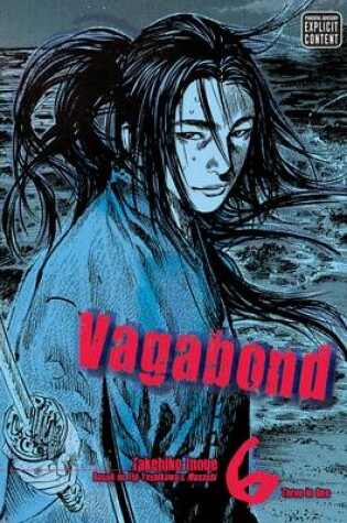 Cover of Vagabond (VIZBIG Edition), Vol. 6